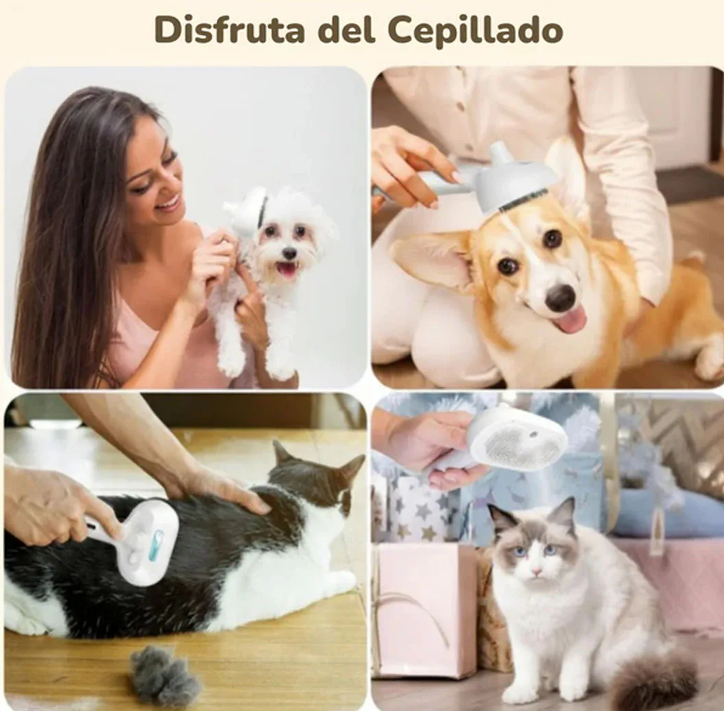 Personas cepillando perros y gatos