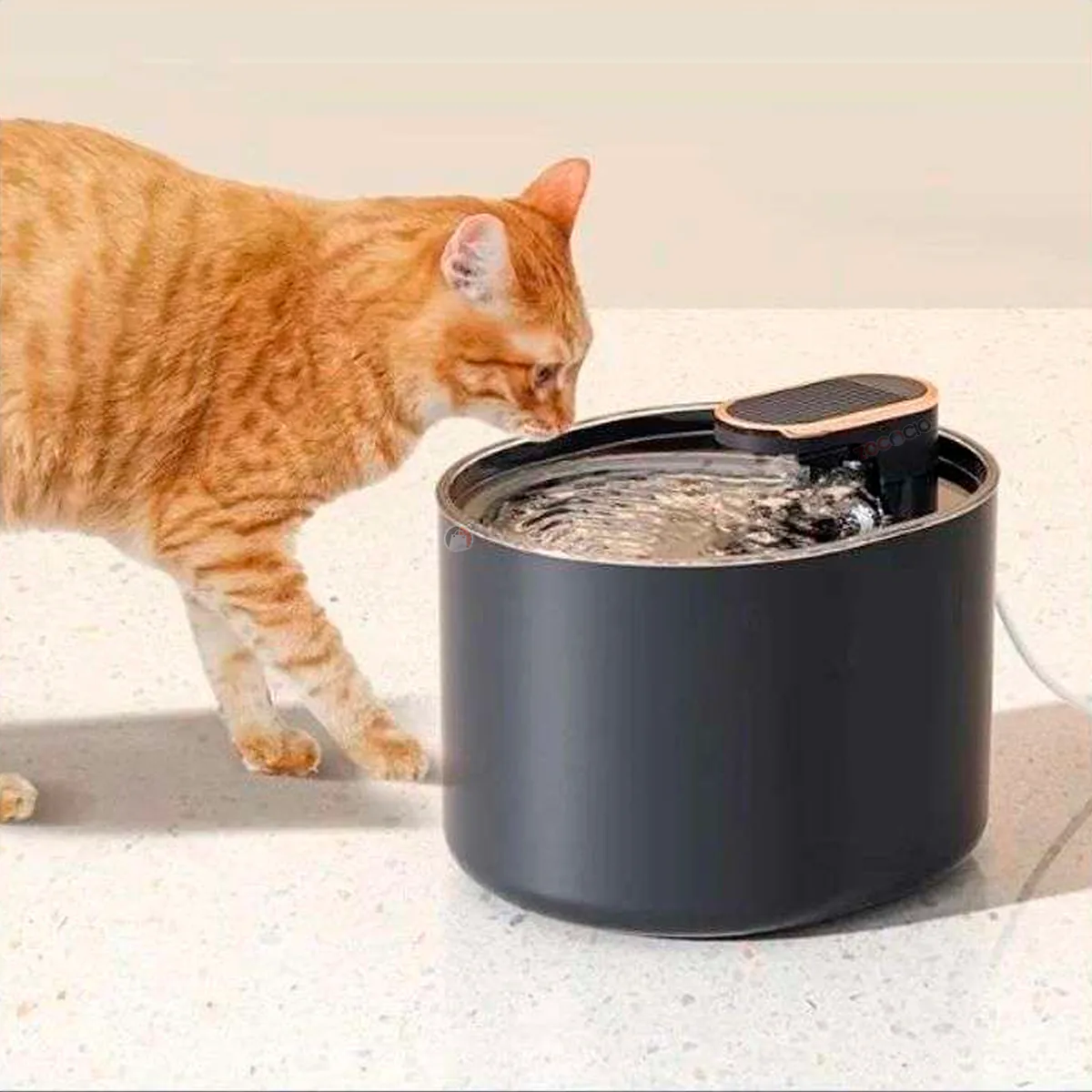 Fuente de Agua Automática para Gatos y Perros 3 L con Filtro, foto 6 de 7