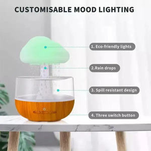 Humidificador de Nube y Lluvia – Transforma tu Ambiente